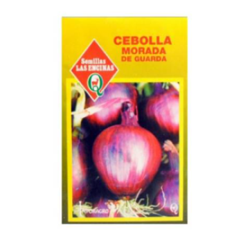 Cebolla Morada