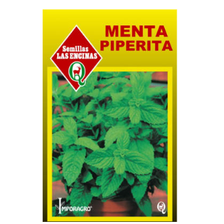 Menta