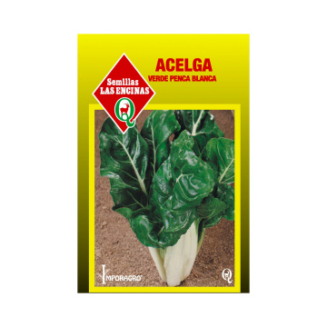 Acelga Verde Penca Blanca