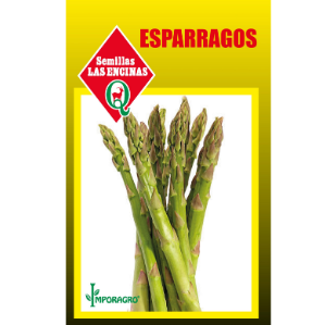 Espárragos 