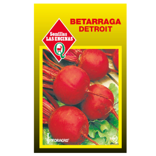 Beterraga Detroit