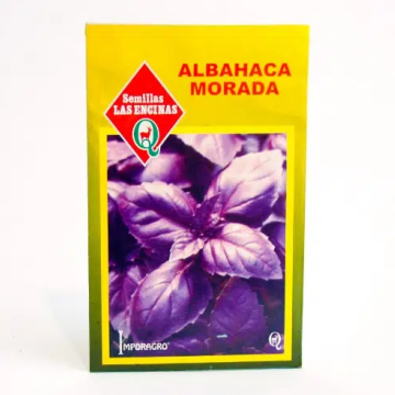 Albahaca Morada