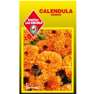 Calendula