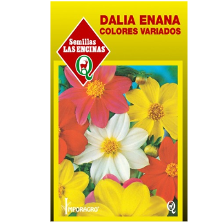 Dalia Enana