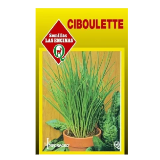 Ciboullete
