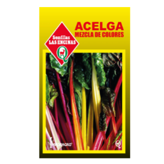 Acelga de Colores