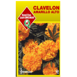 Clavelón Amarillo Alto