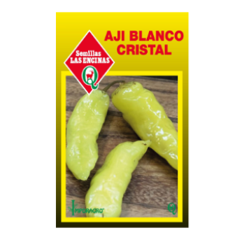Ají Blanco Cristal