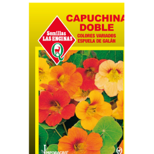 Capuchina