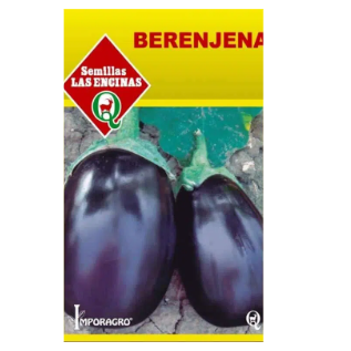 Berenjena