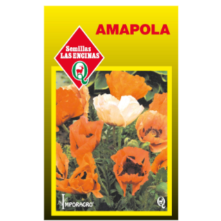 Amapola