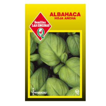 Albahaca Hoja Ancha