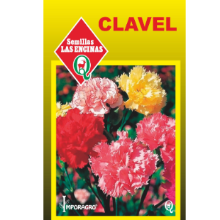 Clavel