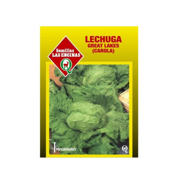 Lechuga Carola