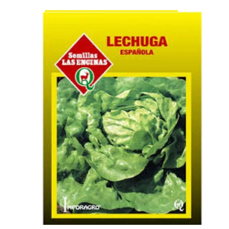 Lechuga Española